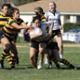 The Land Park Harlequins gear up for a fun Spring season